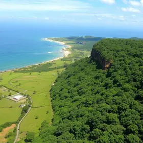 Mata Atlântica em João Pessoa: Áreas Verdes e Preservação